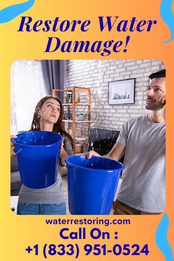 water restoration Priority Water Repair Services Thorndale